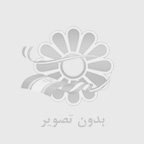 فلش موري كوئين تك Rapid